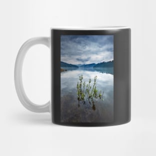 Lake Vidra in Romania Mug